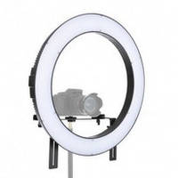 Кільцеве світло