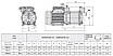 Водяний насос для дому, 0,6 кВт, до 5,4 м³/год, до 3,4 бар, багатоступінчастий, Speroni RSM 3, (Італія), фото 5