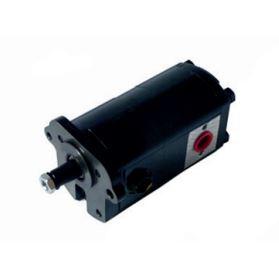 Гідравлічний насос Massey Ferguson 1PN/1PN /254, фото 1