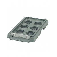 Дно пластикове 6 рам. Лисонь