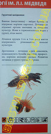 Вофатокс 100 мл, оригинал, фото 2