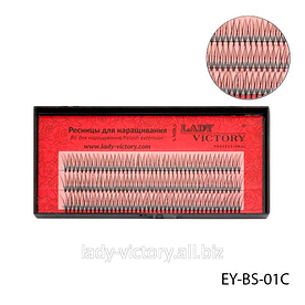 Вії пучкові. EY-BS-01C