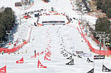 Стійки для сноубордингу Liski — Офіційний імпортер ТОВ АНУКА, фото 2