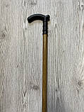 Палиця для ходьби, фото 2