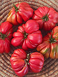 Насіння томату "від Лазарєвих" Акордеон 15 насінин, фото 2