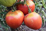 Насіння томату Король Лондона15 нас, фото 2