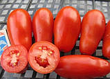 Насіння томату "від Лазарєвих" Французький гроновий 30-60 насінин, фото 3