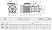 Насос водяний для дому, 0,55 кВт, до 9,6 м³/год, до 3 бар, поверхневий, багатоступінчастий, Speroni RXM 4-3, (Італія), фото 2