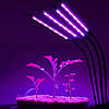 Уцінка! Фітолампа для рослин Plant GrowLight світлодіодна з таймером, чорна, фото 10