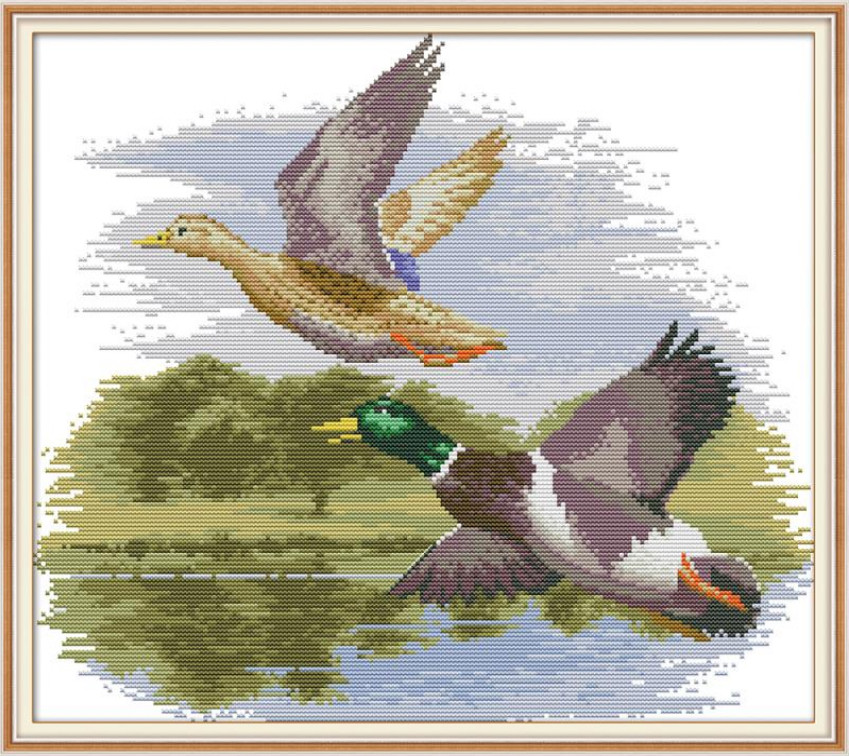 Набір для вишивання за нанесеною на канву схемою "Fly Side by Side".AIDA 14CT printed, 42*37 см, фото 1