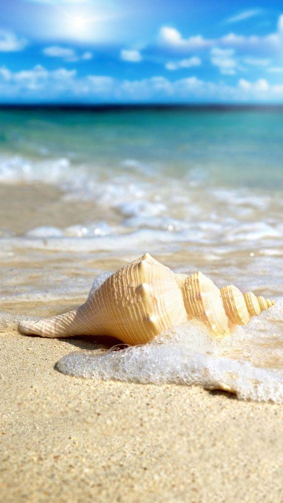 Віддушка для антисептиків, санітайзерів Sea (Морський)