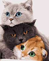 Картины по номерам "Три кота" Artissimo холст на подрамнике 40x50 см PN4201