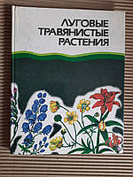 Луговые травянистые растения. Биология и охрана. Справочник. И. А. К. Губанов. В. Киселева. В. С. Новиков