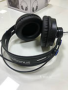PRESONUS HD7 Навушники, фото 4
