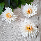 Хризантема (астра) біла 7 см (головка), фото 3