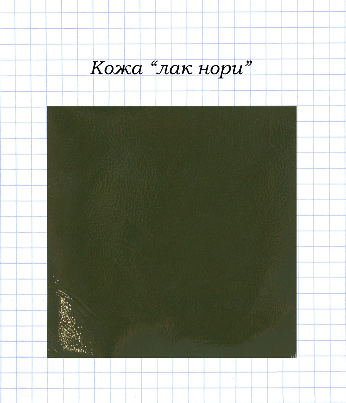 Шкіра "лак норі", фото 1