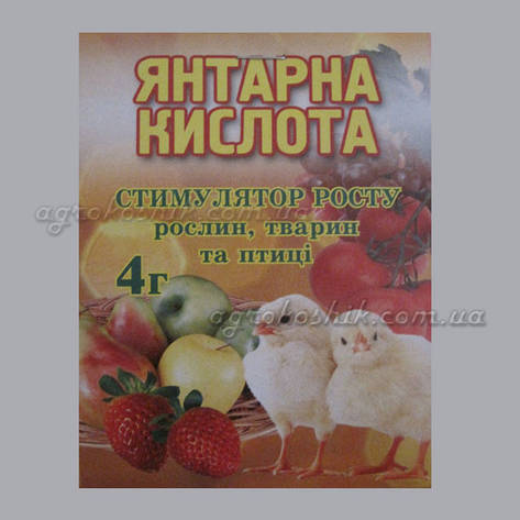 Бурштинова кислота 4 г, фото 1