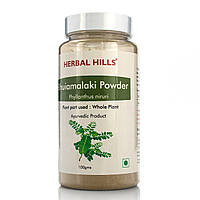 Бхуміамалаки/Bhumiamalaki Powder/Herbal Hills 100g