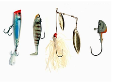 Спінінгова ловля