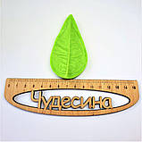 Молд лист Пуансетії для фоамрану та глини пластиковий флористичний., фото 2