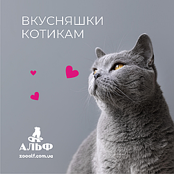 Рекомендовані ласощі та солодощі для котів