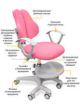 Evo-Kids Mio-2 | Ортопедичні дитячі крісла для школярів, фото 2