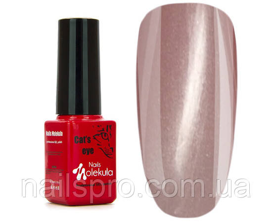 Гель-лак Nails Molekula Cat Eyes 6 мл, № 00