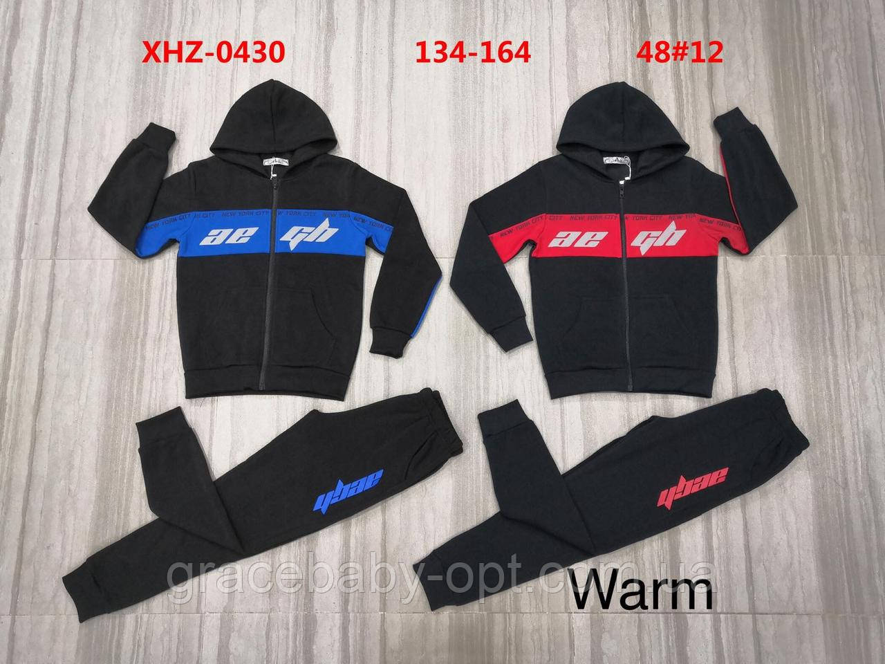 Утеплений костюм 2 в 1 для хлопчика оптом, Active Sport, 134-164 см, № XHZ-0430