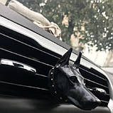Ароматизатор до автомобіля Доберман RESTEQ чорний. Освіжувач повітря для автомобіля Doberman, фото 4
