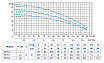 Водяний насос для свердловини, 2,2 кВт, до 18 м³/год, до 4,45 бар, поверхневий, Speroni RXM 10-5, (Італія), фото 2