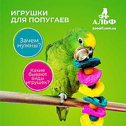 Іграшки для папуг. Які вони бувають і навіщо потрібні?
