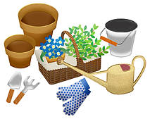 Рослини та догляд за ними