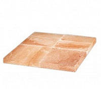 Соляний блок в шафу для визрівання м'яса DX 1001 Dry Ager