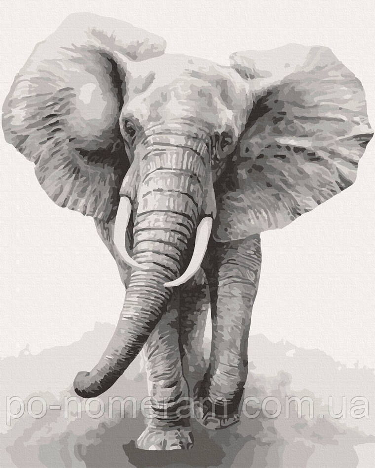 Акційна Розмальовка по номерах ArtCraft Африканський слон (ACR-11629-AC) 40 х 50 см, фото 1