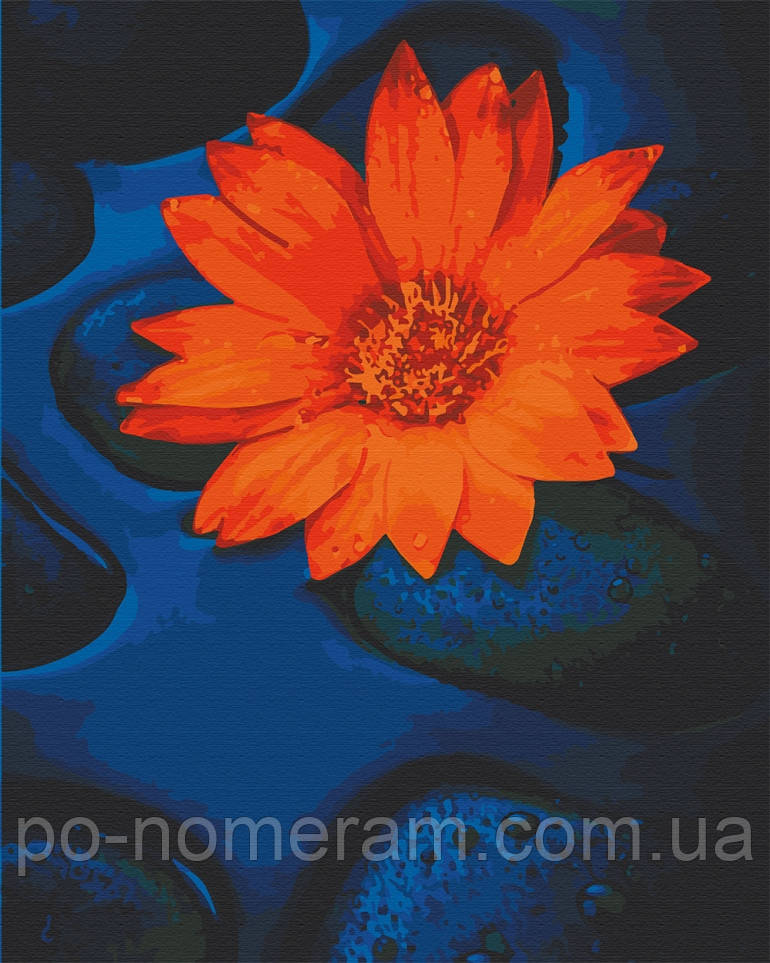 Акційна Картина за номерами ArtCraft Квітка лотоса (ACR-13124-AC) 40 х 50 см, фото 1