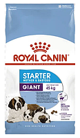 Сухой корм для щенков Royal Canin (Роял Канин) GIANT STARTER для гигантских пород до 2 месяцев (для кормящих и