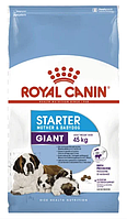 Сухий корм для цуценят Royal Canin (Роял Канін) GIANT STARTER для гігантських порід до 2 місяців (для годуючих та вагітних сук), 4