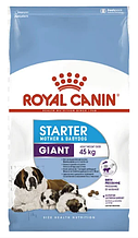 Корм для цуценят Royal Canin (Роял Канін) GIANT STARTER для гігантських порід до 2 місяців (для годуючих та вагітних сук), 1 кг