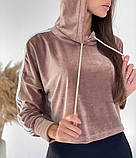 Велюрова толстовка з лампасами жіноча, фото 2