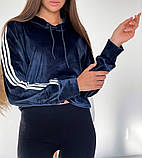 Велюрова толстовка з лампасами жіноча, фото 6