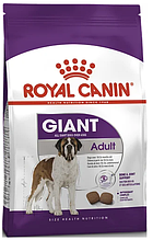 Корм для собак Royal Canin (Роял Канін) GIANT ADULT для гігантських порід віком 18-24 місяців 15 кг