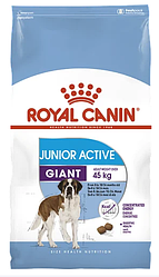 Сухой корм для щенков Royal Canin (Роял Канин) GIANT JUNIOR ACTIVE для гигантских пород с повышенной