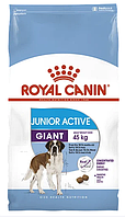 Корм для цуценят Royal Canin (Роял Канін) GIANT JUNIOR ACTIVE для гігантських порід з підвищеною активністю, 15 кг