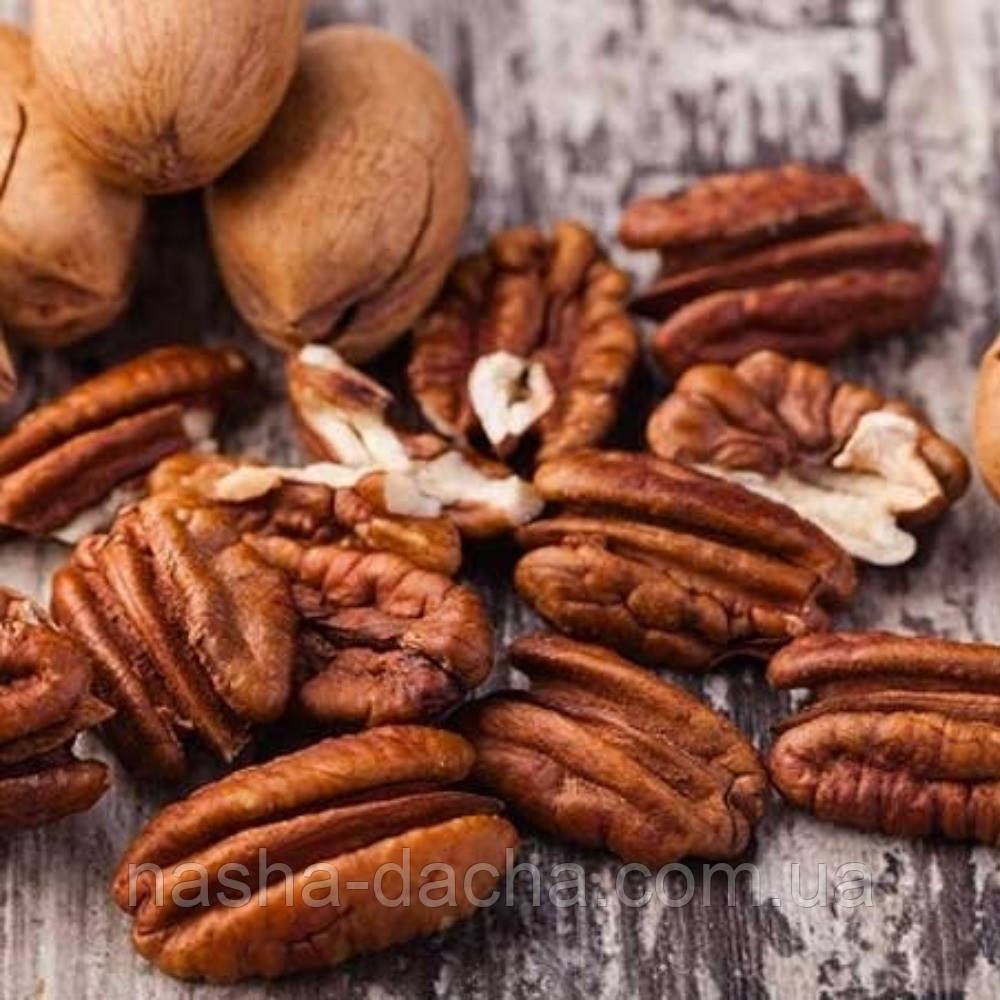 Горіх Пекан Мohawk 2 роки