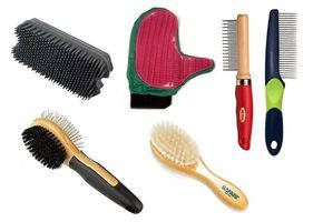 Грумінг кішок