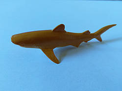 Тигрова акула