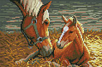Алмазна мозаїка вишивка (квад. стрази, повна викладка, без підрам.) Коні 20х30 DT707