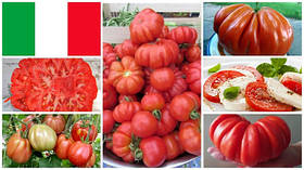 Італійські томати