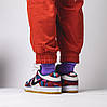 Кросівки Nike SB Dunk Low Pro Parra Abstract Art, фото 10