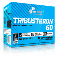 Tribusteron 60 Olimp (120 капсул)